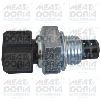 Sensor, intake air temperature
